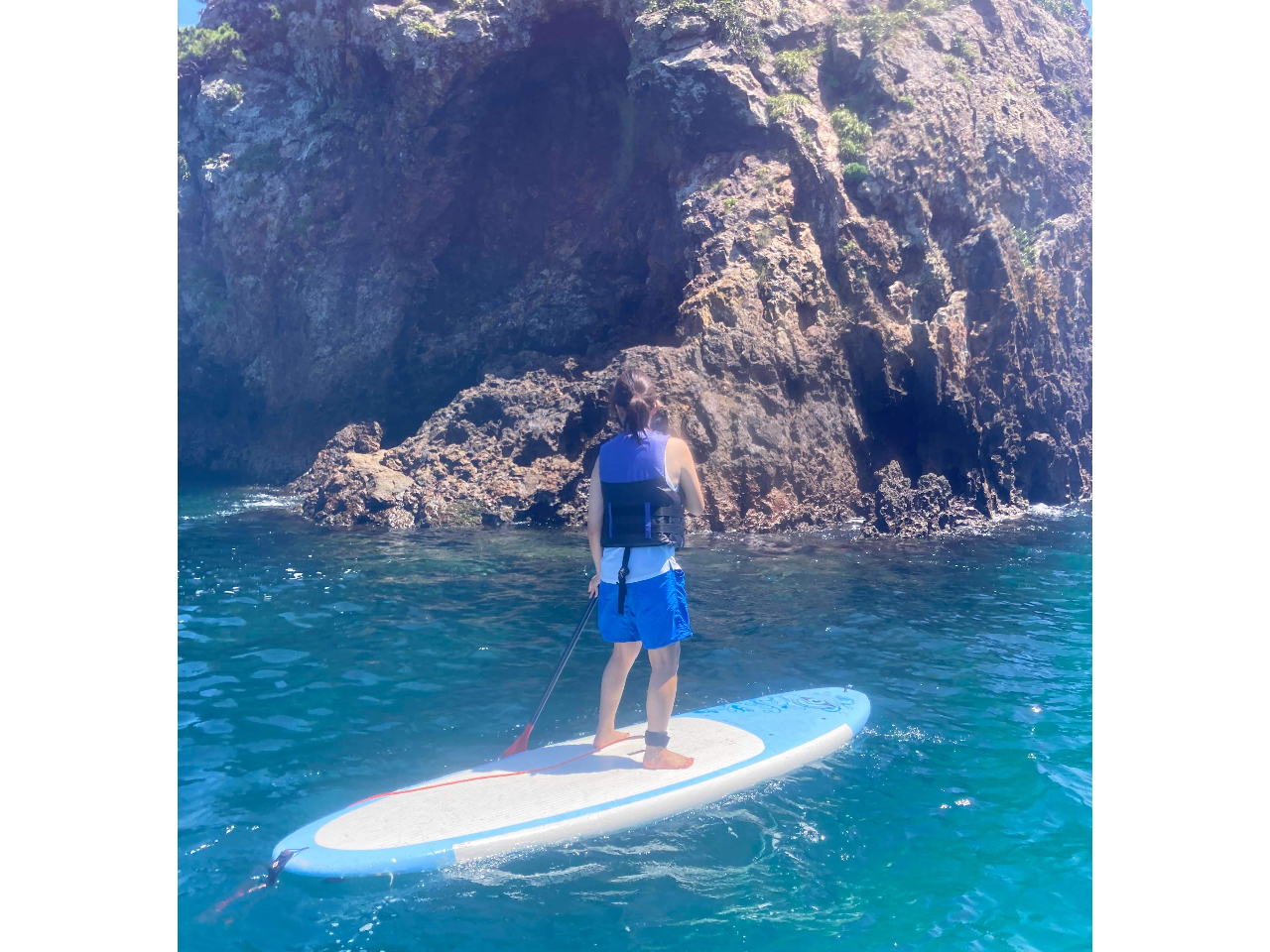 SUPŌȂAf炵iFɏo܂B