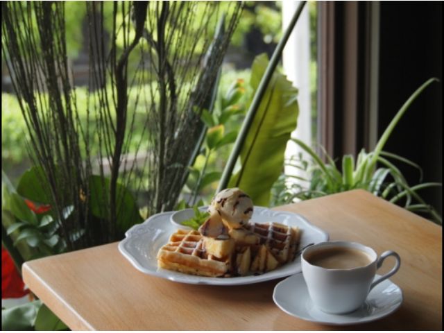 海で遊んだあとは、シャワーでサッパリしたら2Fのカフェでのんびり余韻に浸って下さい。自家製ポークカレーやチーズケーキも人気のメニューです。