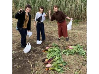 黒ダイコン、黄金カブなどの冬野菜狩りを楽しんでいただきました。