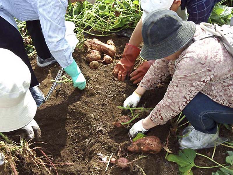 �����ň��[�����@���Ă��܂��B