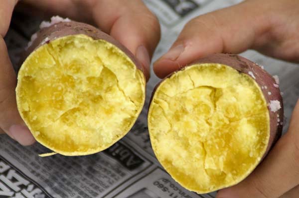 ���[����ΏĂ����ɂ��܂����B���������ł��B