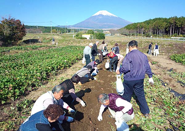 �x�m�R�����Ȃ�����[���̎��n�̌����y����ł��������܂��B