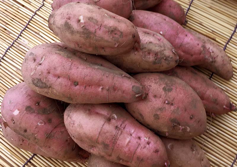 ���n�������[��