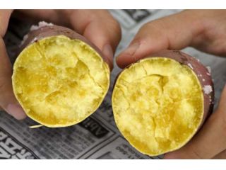 安納芋の焼き芋です。