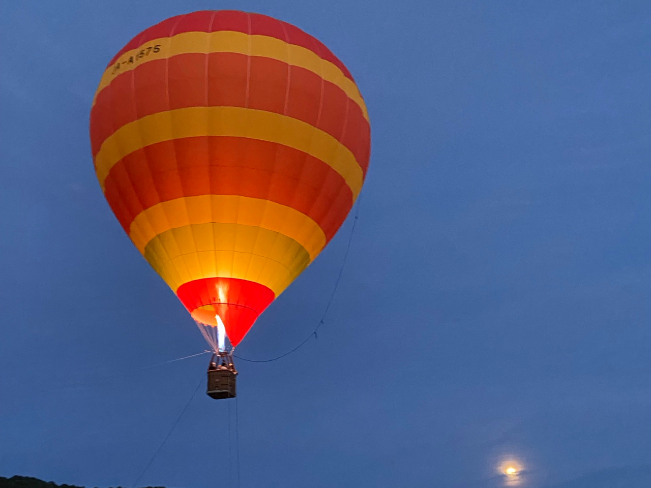 �[���̕�������Ă���̂ŗ[��������邱�Ƃ��E�E�E��