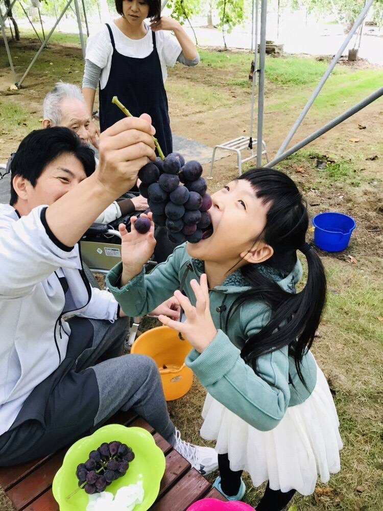 �����t���[�c���C���@�܂邦�ό��ʎ����@���R���i�΍���{����