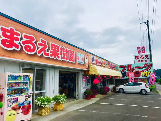 �܂邦�ό��ʎ����ł��I