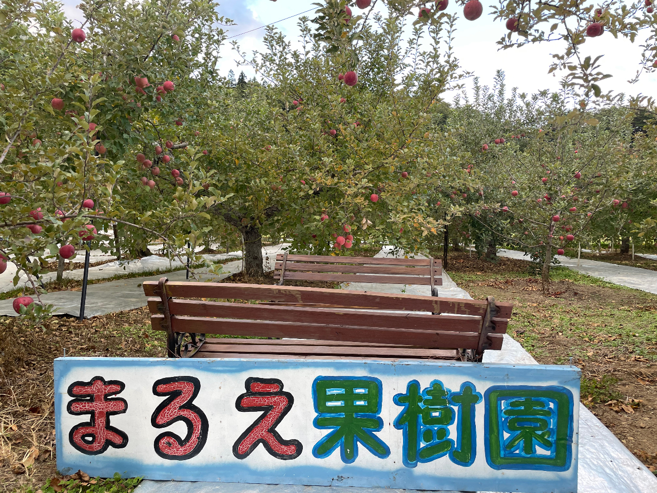 ����Ŕ̑O�Ŏʐ^�����B�肭�������O�O
