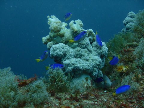 썑`bNȂE\XY_CAɂ́I