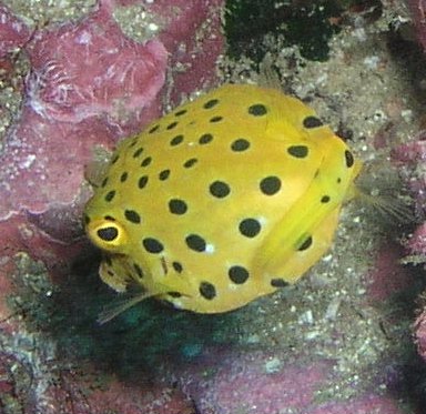 A₾IK玸E~i~nRtO̗cI