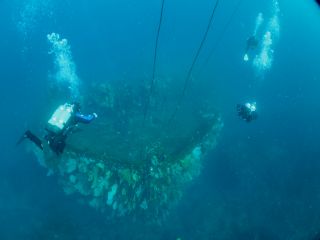 熱海を代表する人気ポイント・沈船 長い歳月により色とりどりのソフトコーラルが見事に群生・魚たちの絶好の住み家