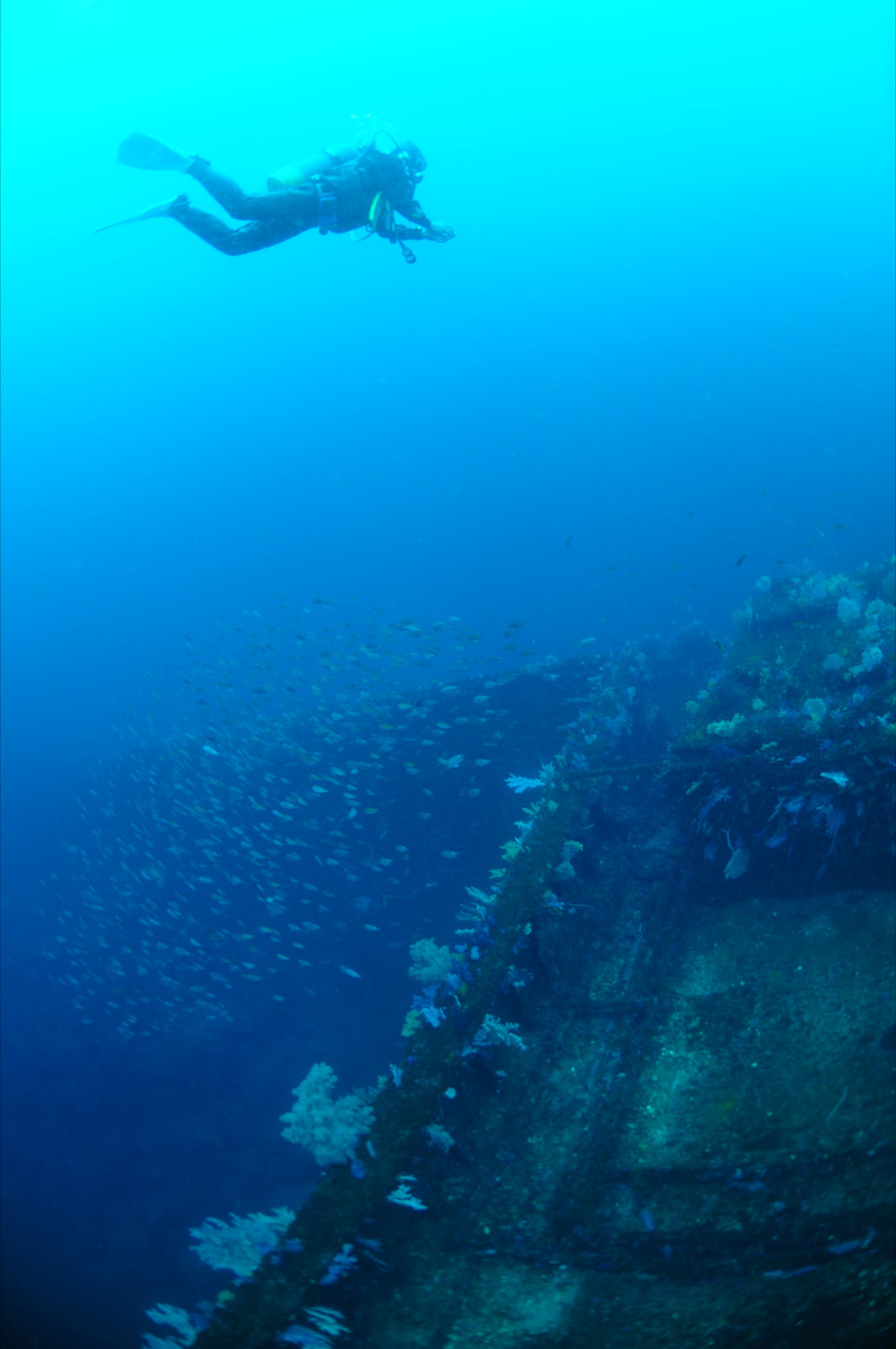 DESẴ_Co[̋ȎpɁ@ā@̑݊Ɉ|邱Ƃł傤I