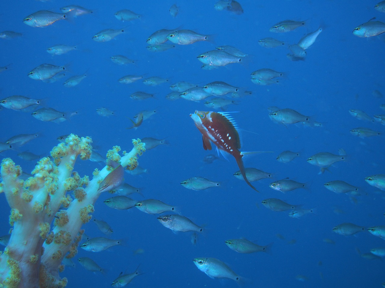 TN_CẺԂтU炵悤ȕlfGłI