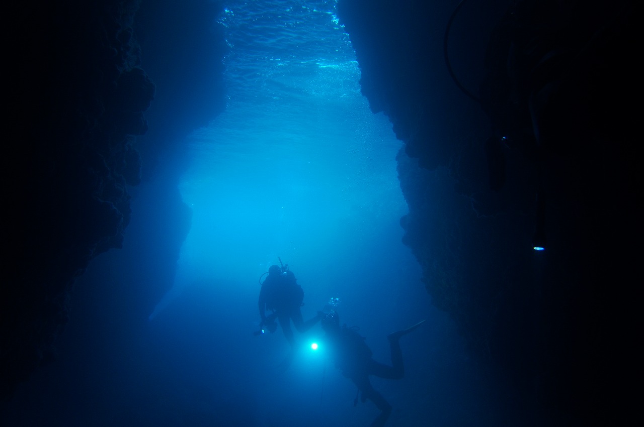 ԌE]䓴A@11-3̂݃I[vI