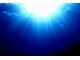 海中からの幻想的なシーン♪