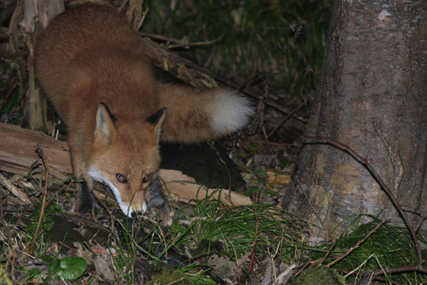 L^Lcl̃neBOȂǂ邱Ƃ܂B