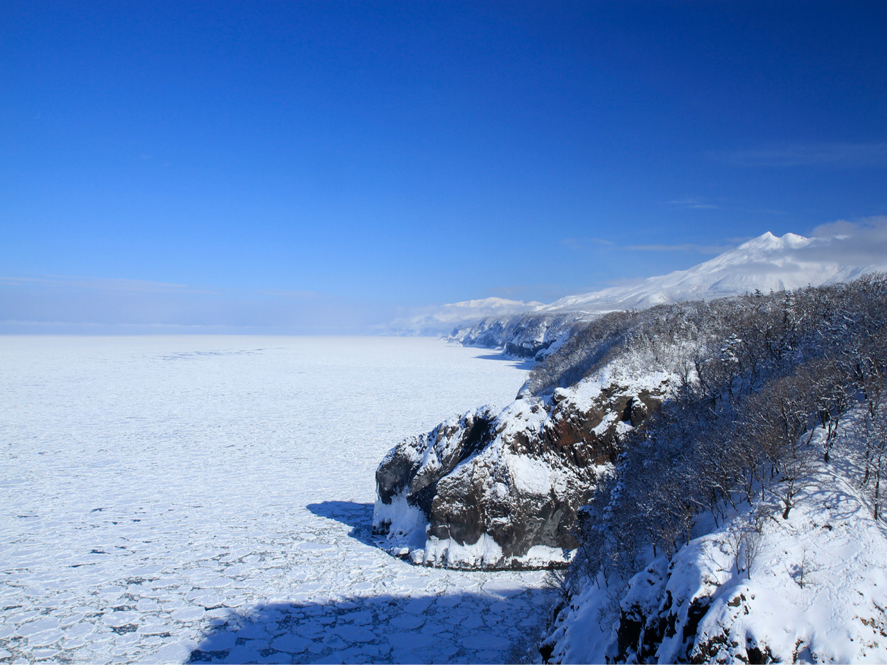 ���V�C�A���X�A��A�l�X�ȗv�f�Ŏ��R�̌i�F�͓��X��ۂ��قȂ�܂��B