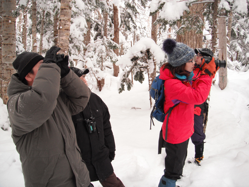 �����̑��Ղ╳�ȂǁA���Ղ�T������A���̐���C�z�Ɏ����X������A�F�X�Ȋy���݂�����܂��B