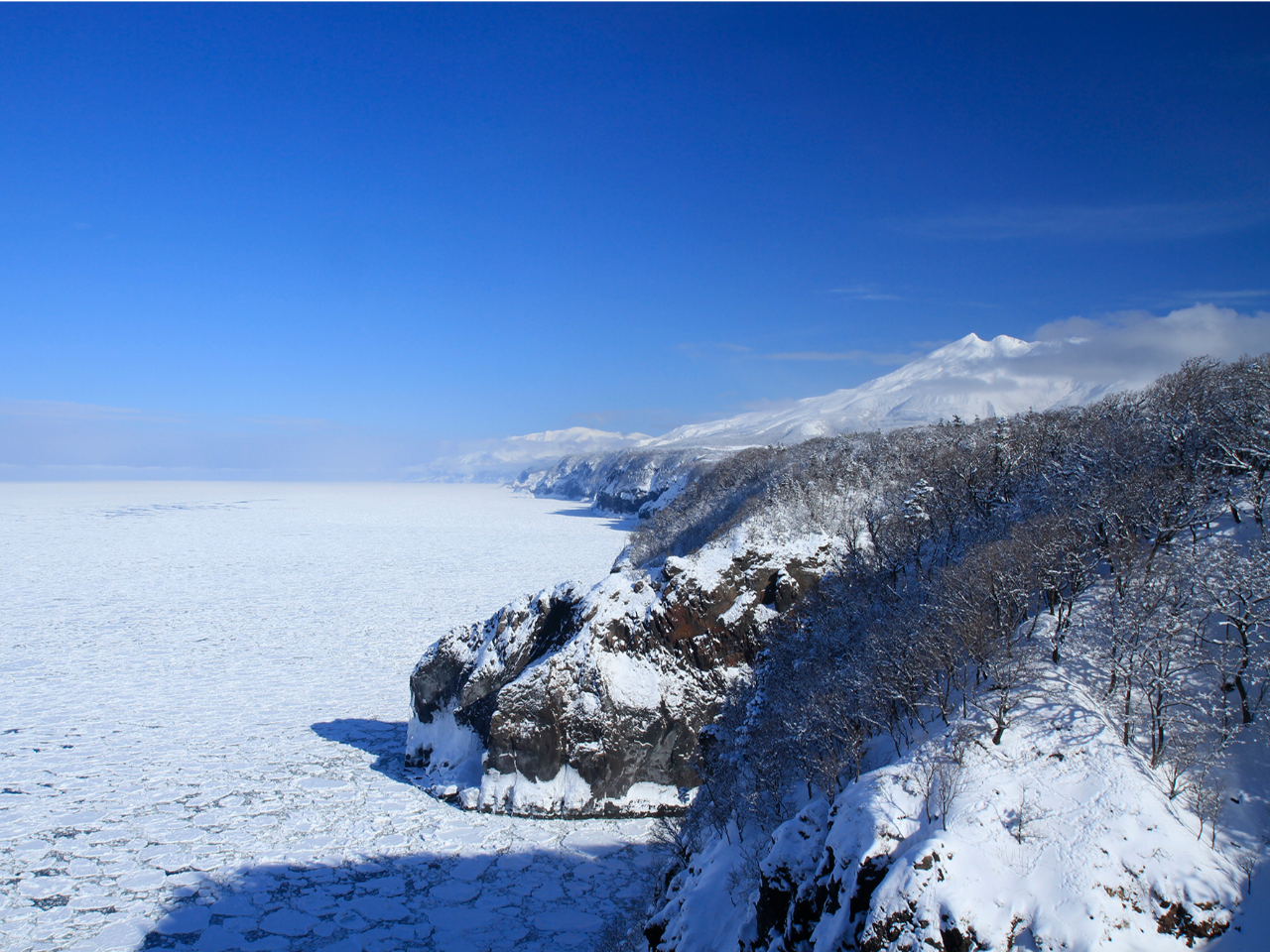 �f�R�Ɨ��X�����n���m���Ȃ�ł͂̐�i�ł��B