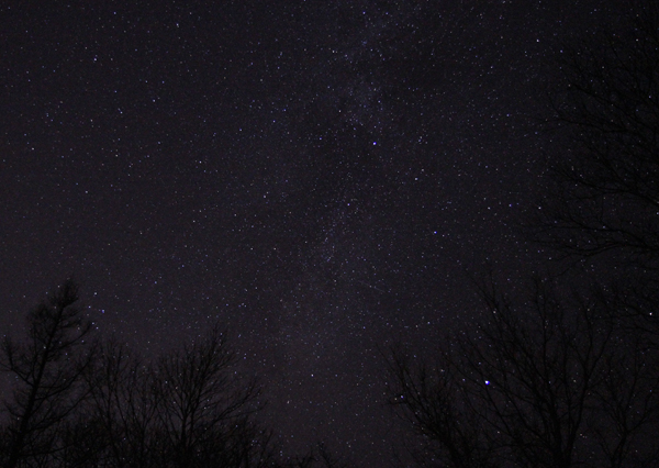 �e�̂悤�ɐL�т�؁X�̌��Ԃ��猩�グ��~�̐���B