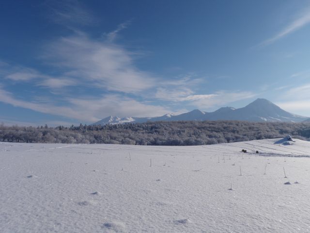 雪に覆われた雪原