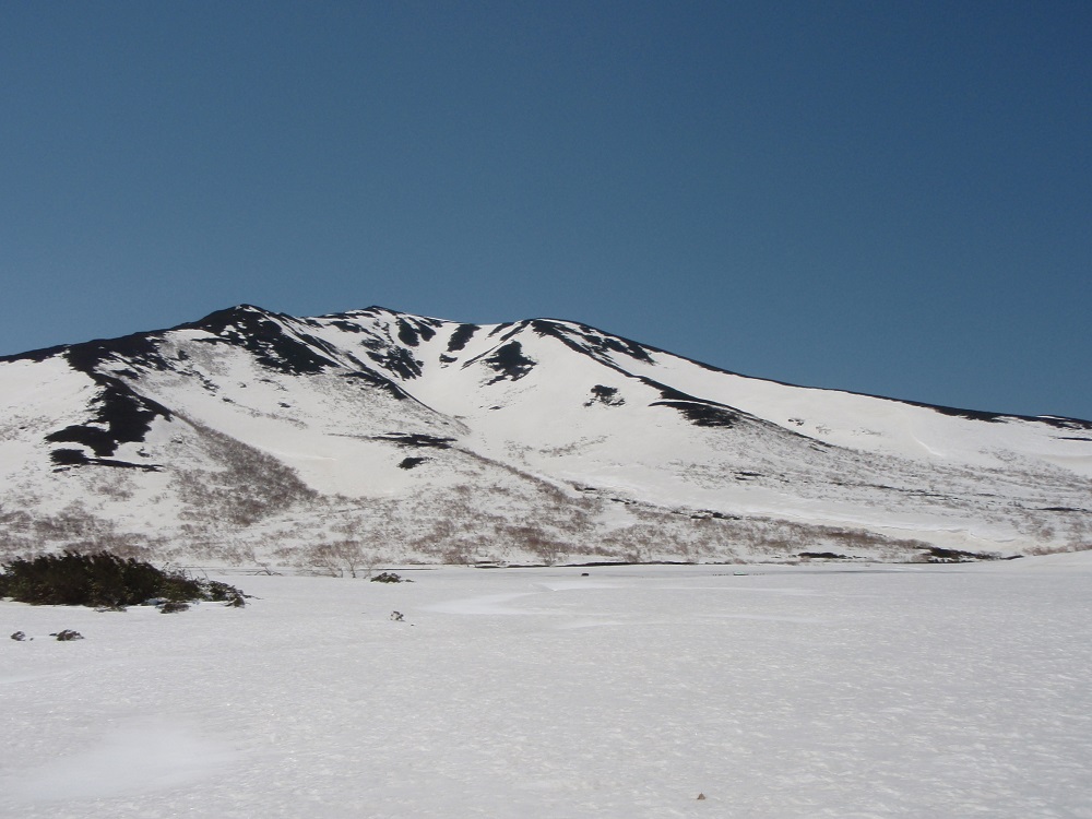 �m���ő�̌΁u���P�΁v�B�悤�₭�X�������������Ƃ���ł��B���N�ɂ���Đ�����̑����͕ς��܂��B