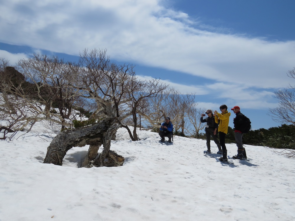 �؁X�̐����������邾���ł����������ɑς��Đ�����؁X�̂����܂����������܂��B