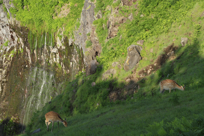 fR痬ꗎty̑BlGʂČɍsƂł܂B