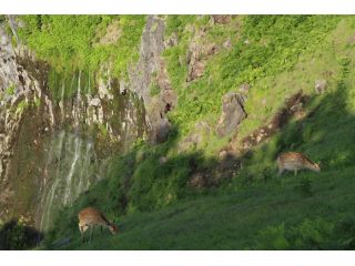 断崖から流れ落ちるフレペの滝。四季を通じて見に行くことができます。