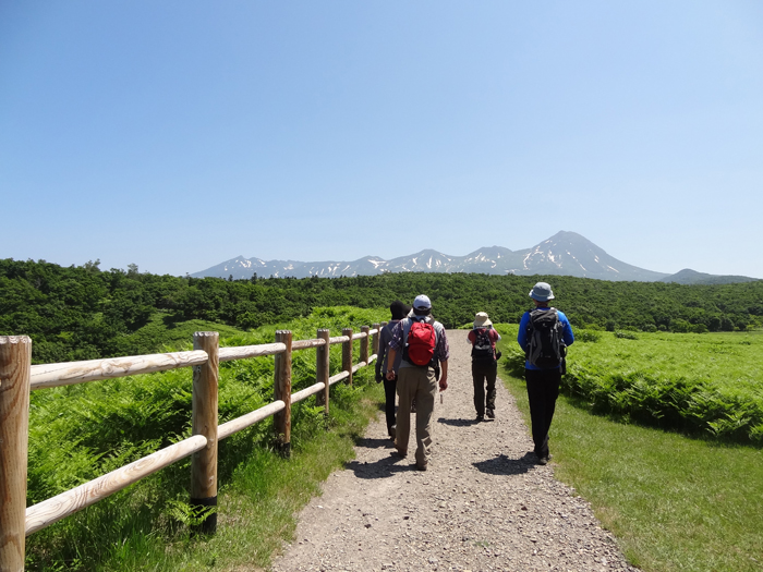 ₷Ȃ̂ŋCyɕƂł܂BLXƂĈR[XłBiĂ͏̂ŖXqK{łj