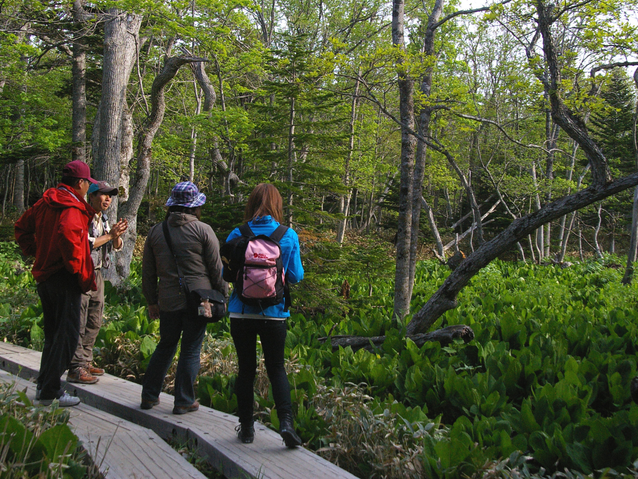 U􂷂X͌тłB΂̌iFłȂAXŷ݂ЂƂłB