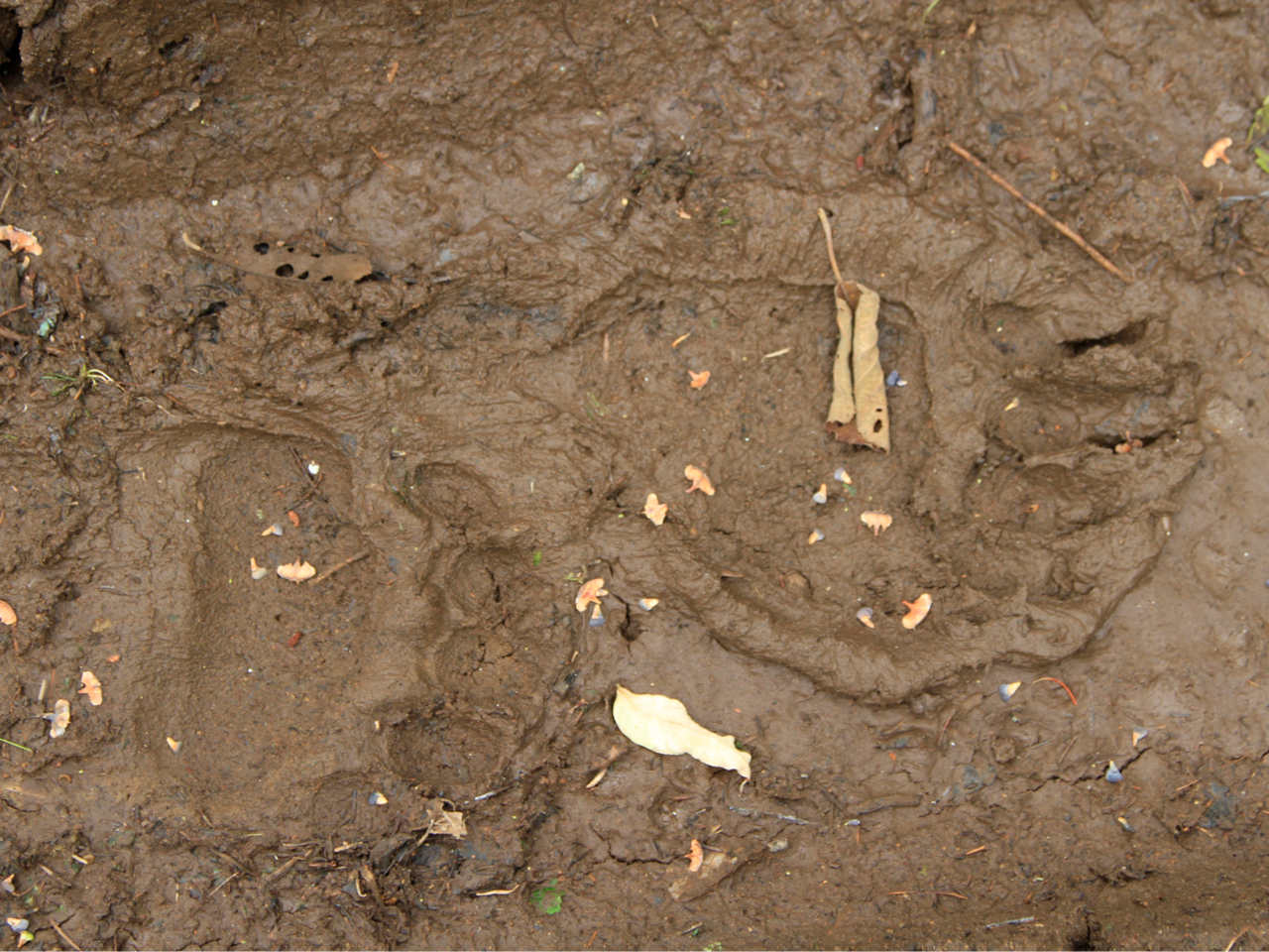 iłȂAɂ͑ώ@邱ƂEEEB