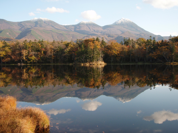 H̒m܌΁BG߂ɂėlXȕ\邱Ƃł܂B