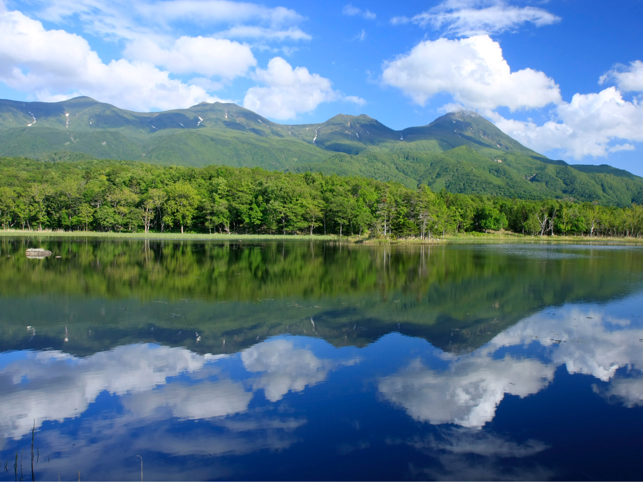 ꂽ̂Ȃɂ́Am܌΂ɎR݂f荞ޔi܂B