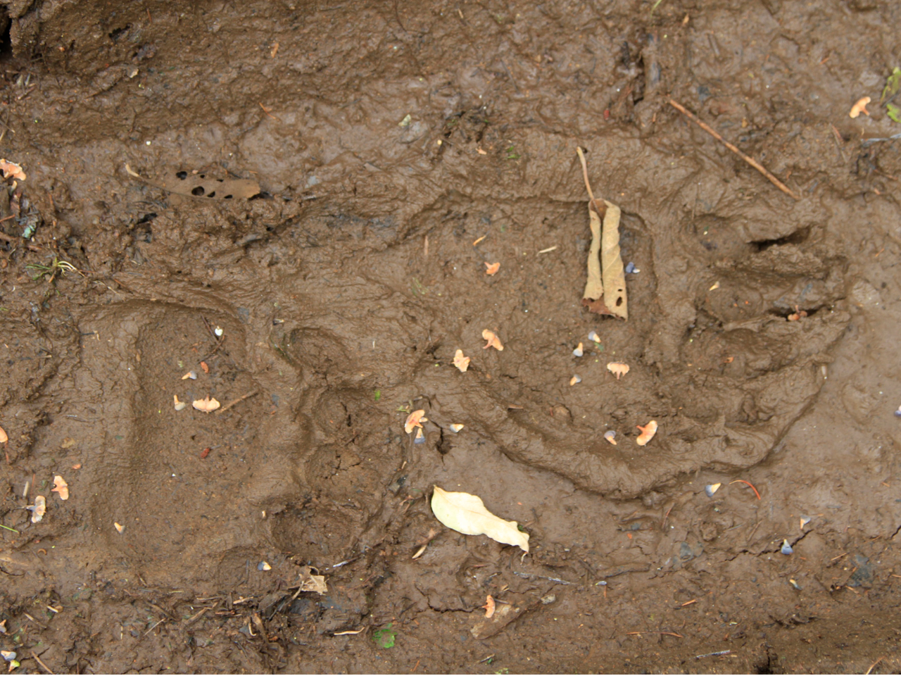 iłȂAɂ͑ώ@邱ƂEEEB