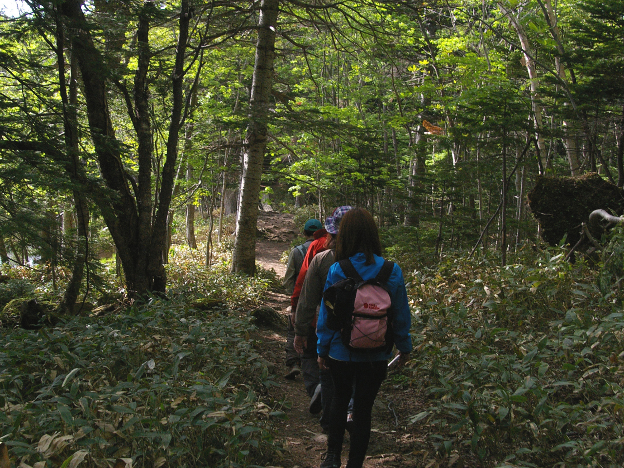 U􂷂X͌тłB΂̌iFłȂAXŷ݂ЂƂłB