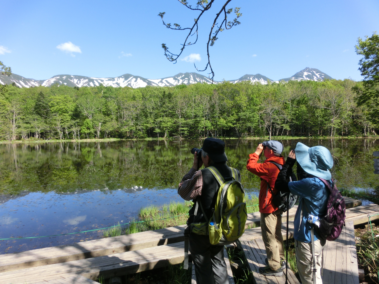 W]ňiF邾łȂAɂR΂[m邱Ƃł[ŘB