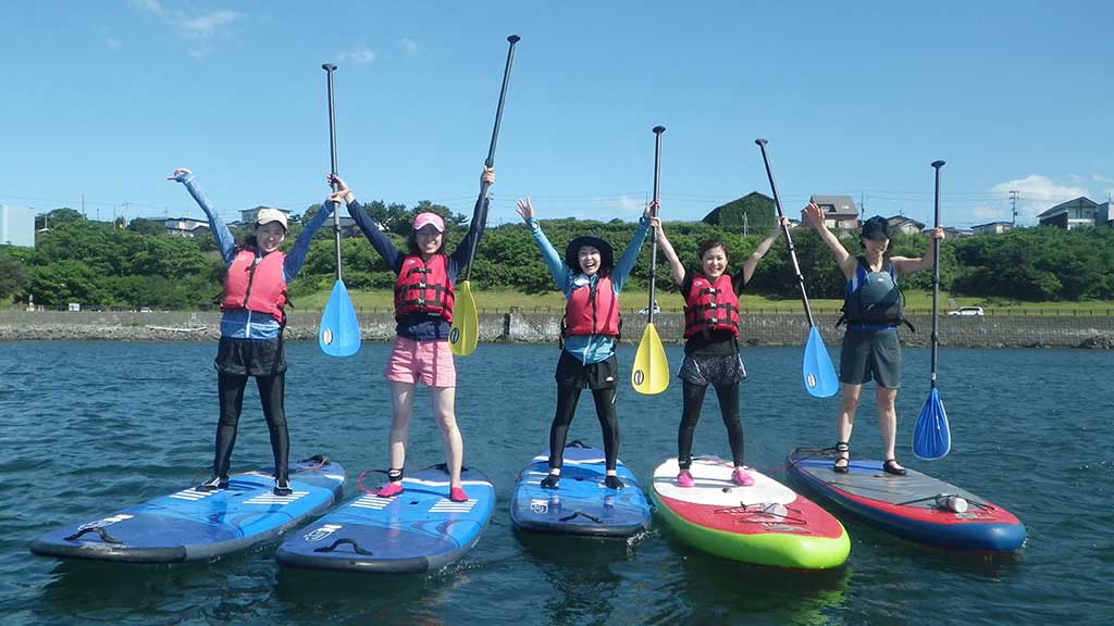 【初心者大歓迎】三陸復興国立公園・ウミネコ舞う蕪島でSUP体験! 公認インストラ...