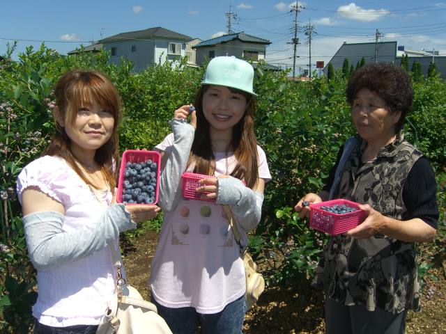 お友達同士でのお客様でブルーベリー狩り♪