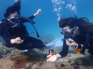 体験ダイビング、1名様からでも参加可能です水着一つでOKです