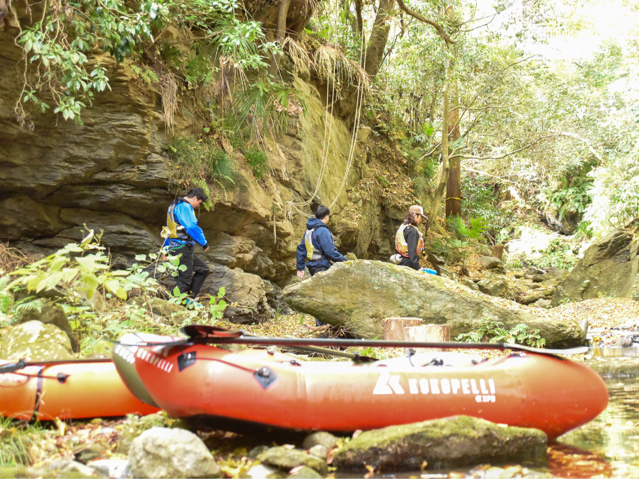 Ks킯ł͂܂񂪁A󋵂ɂĂ͔閧̓]ɏ㗤܂B