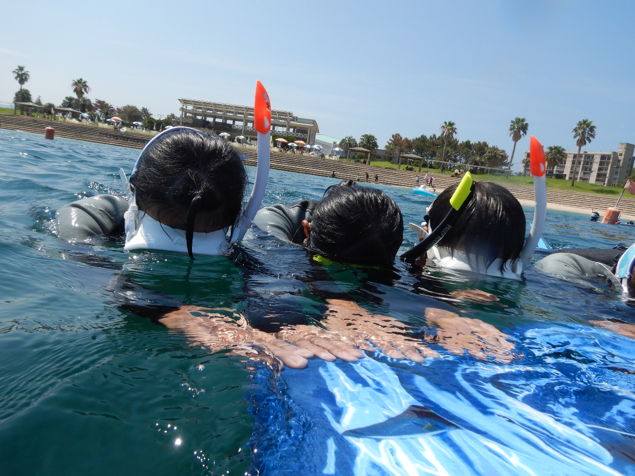 慣れないうちはボードにつかまってシュノーケリング体験できる