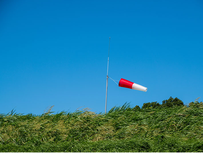 mEEṼ`FbNnSIṼ`FbN͔OɁBV󂪍rƗ\zꍇȂǂ̓tCg𒆎~邱Ƃ܂B