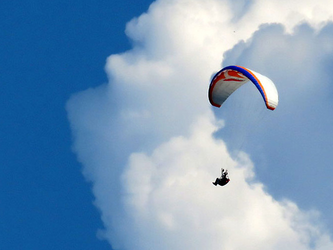 RɔԊy𖡂킦遙iʐ^̓C[Włj