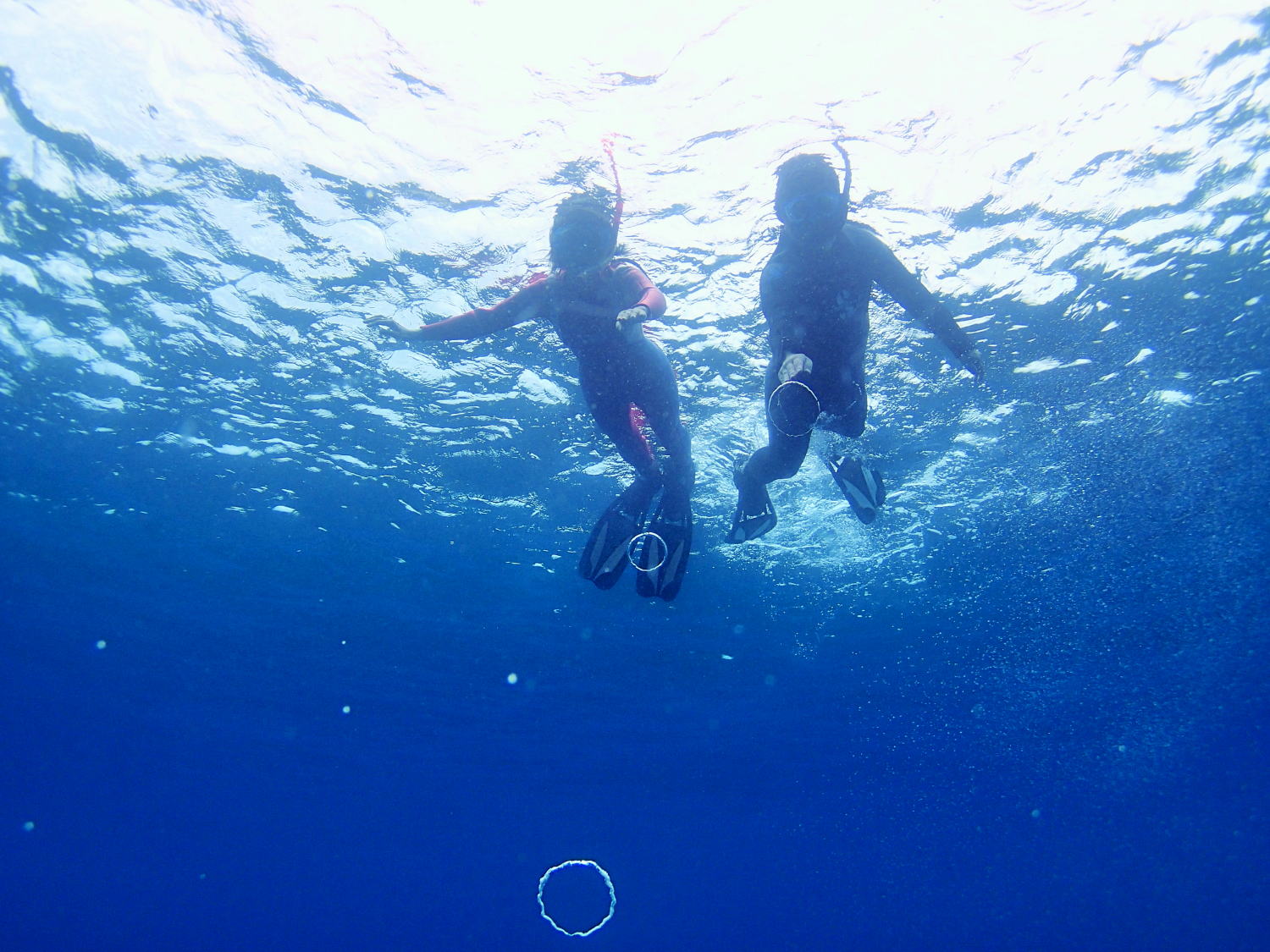 シュノーケリングも楽しめちゃう!!