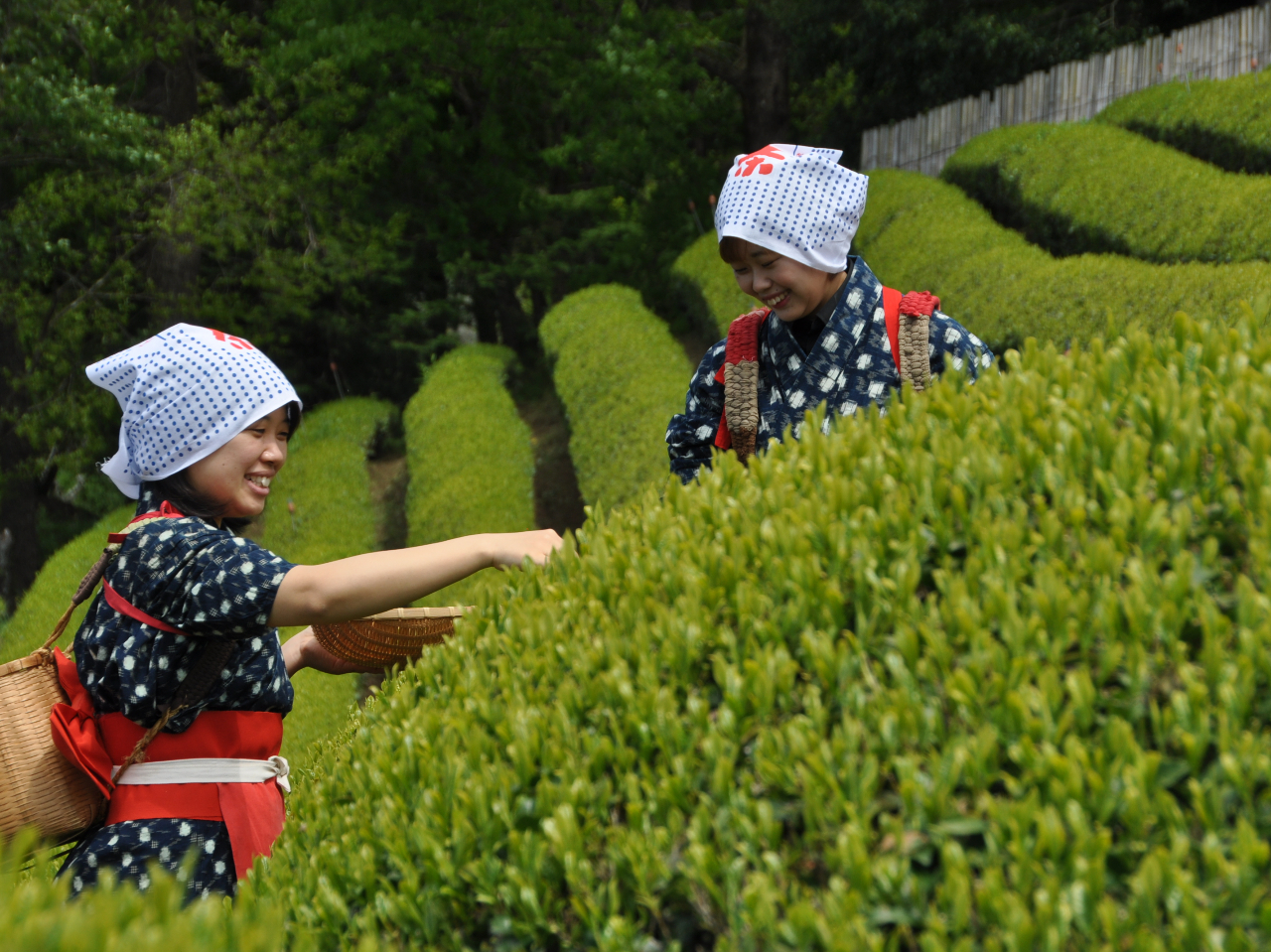 ʐ^Bê`܂̂ŁACyɃX^btւ