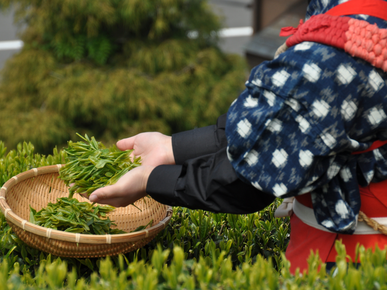 �E�񂾐��t�͂������A��\�B������œV�Ղ��E�[�������������y���݂�������