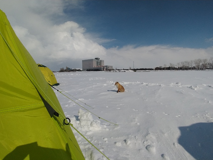 ^悯΁A쐶̃Lclɏo邩B