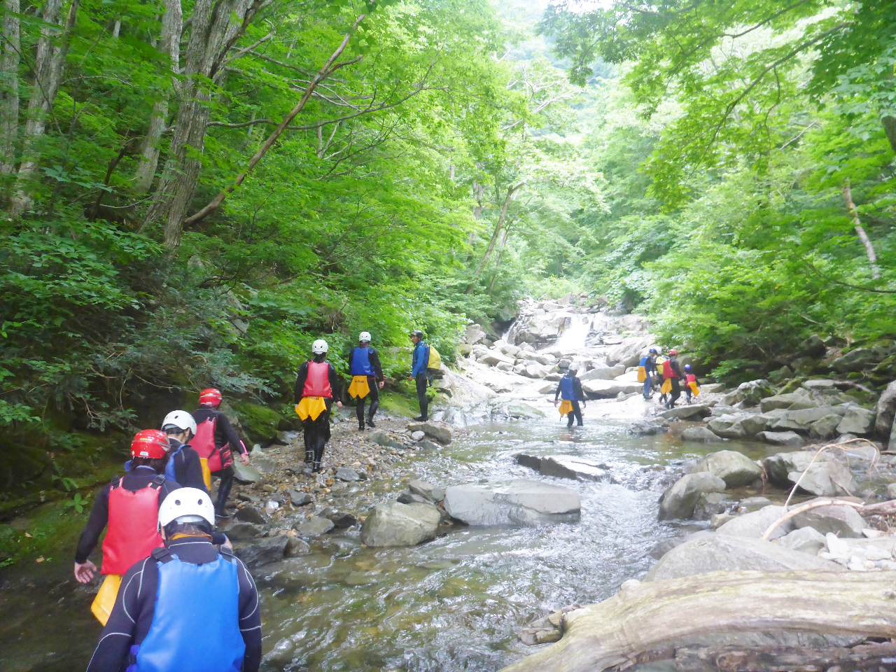 X̒ǂǂēo܂!! ؁Xؘ̖RAiłBRoAiF\łLjIjOI