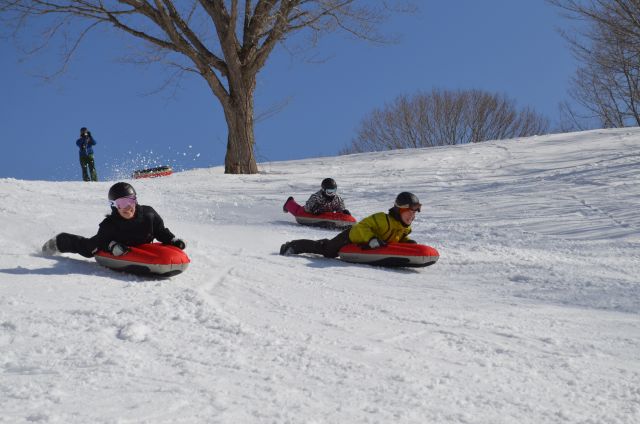 ǂ̃QfɍsĂAƂɂڗႢ܂Iړx100%!!